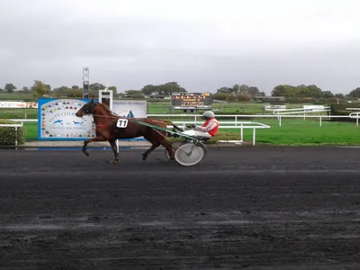 Les pronostics hippiques pour ce dimanche 16 novembre